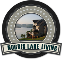 Big Creek Homes for Sale on Norris Lake